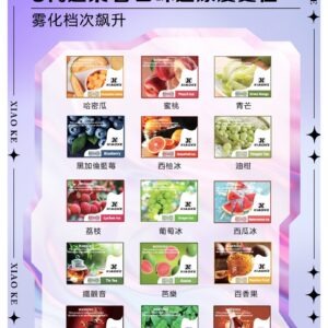 XIAOKE 可替換式電子煙 (兼容 RELX6代) (實用款)